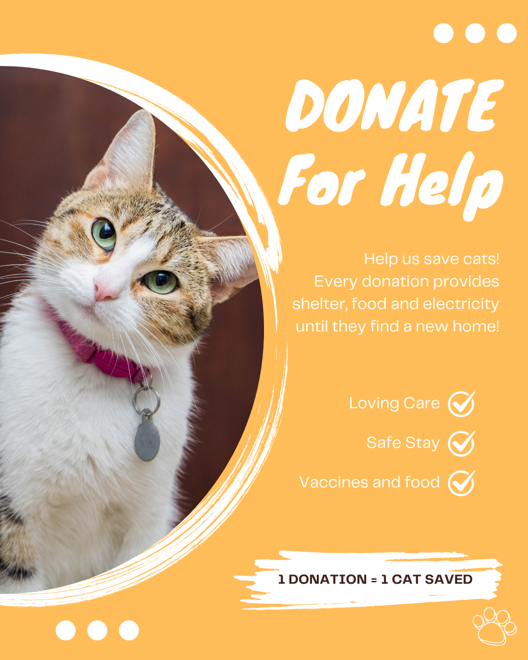 Support our mission with donations ❤️