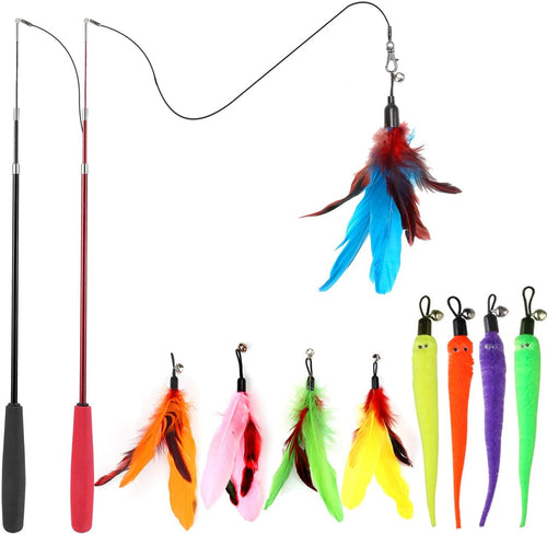 Cat Toy for Shelter