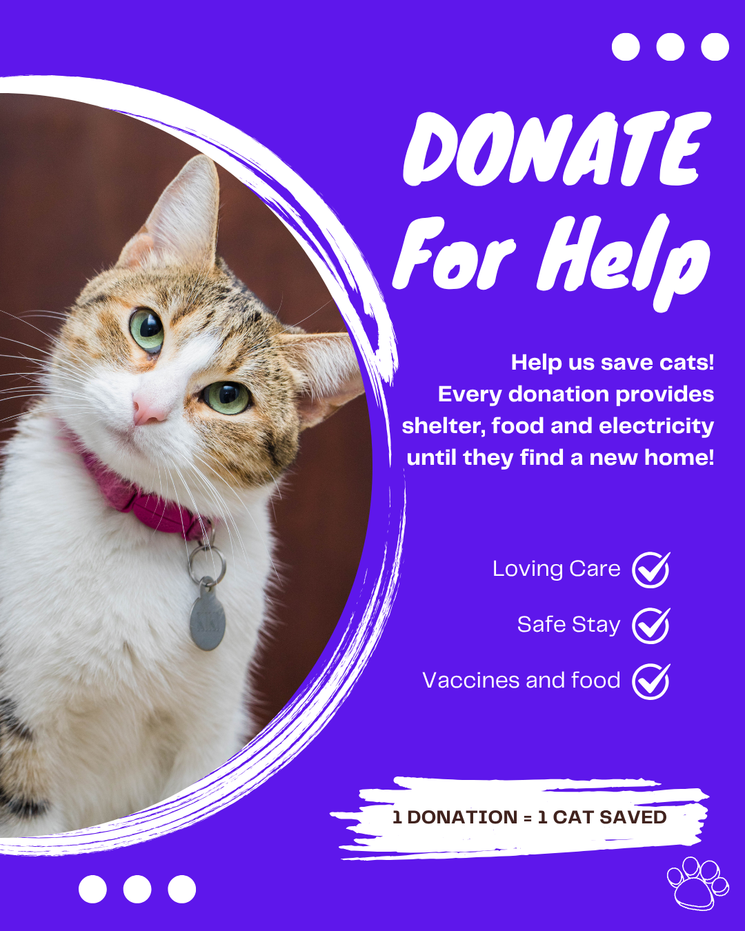 Support Our Rescue Cats ❤️