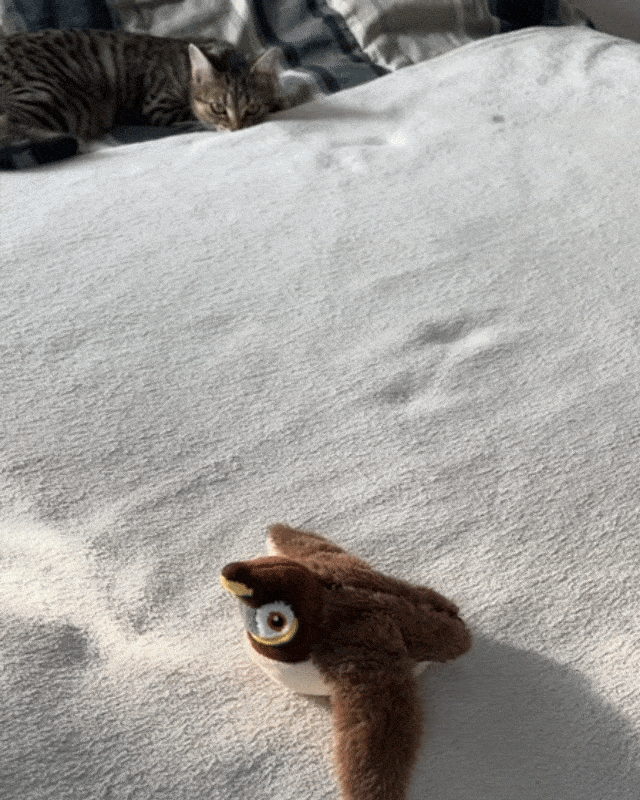 Flappy Bird Toy