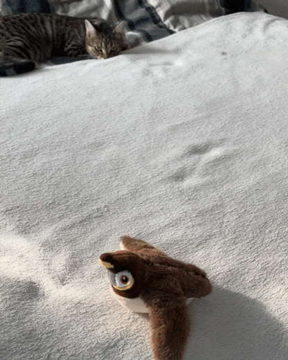 Flappy Bird Toy