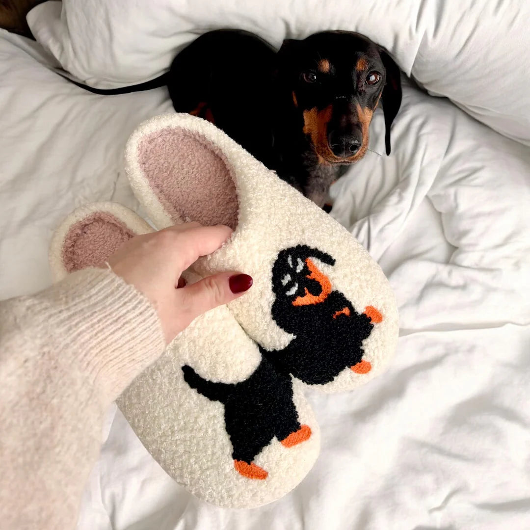 Dog Slippers