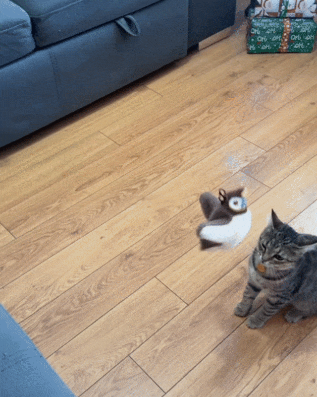 Flappy Bird Toy